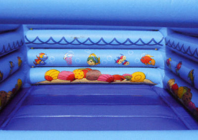 Castle Bouncy Fish Tank