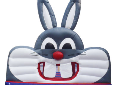 Castle Bouncy Rabbit