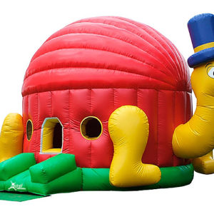 Tortuga inflable