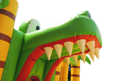 Combo crocodile inflatable