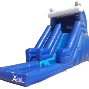 Dolphins Water Slide