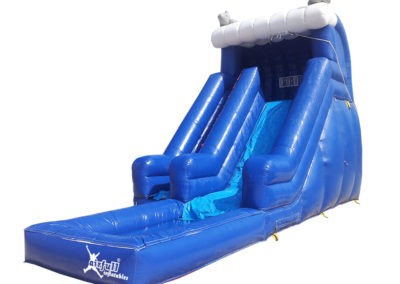 Dolphins Water Slide