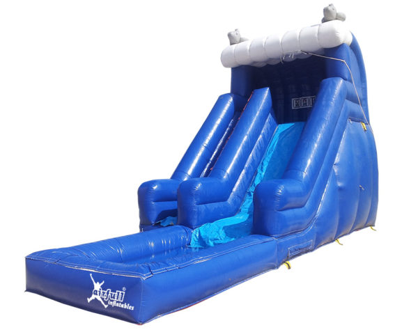 Dolphins Water Slide