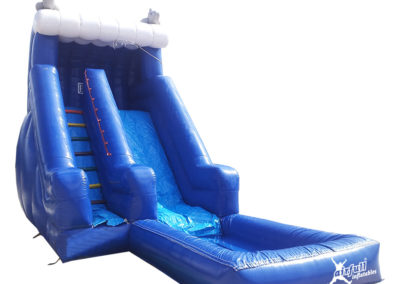 Dolphins Water Slide