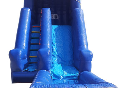 Dolphins Water Slide