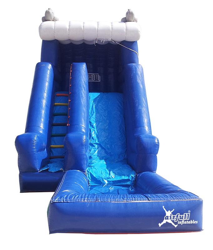 Dolphins Water Slide