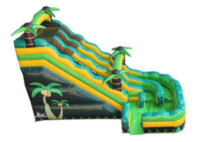 Palm Slide Inflatable