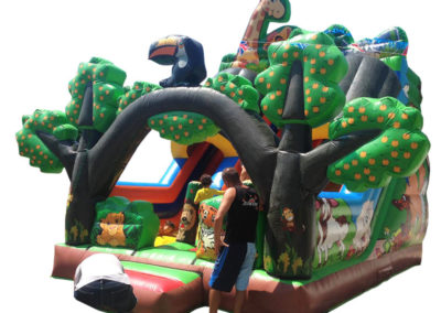 Safari inflatable slide