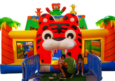 Safari slide inflatable