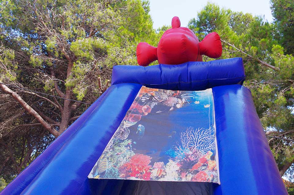Sea World Combo Inflatable