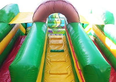 Jurassic Slide Bouncy