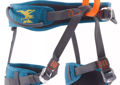Adult climbing harness