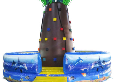 Palm Rock Climbing Wall