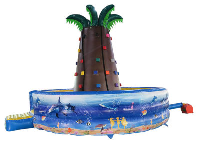 Palm Rock Climbing Wall