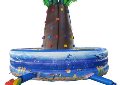 Palm Rock Climbing Wall