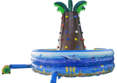 Palm Rock Climbing Wall