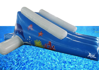 Dolphin Inflatable Water Slide
