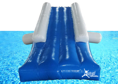 Dolphin Inflatable Water Slide
