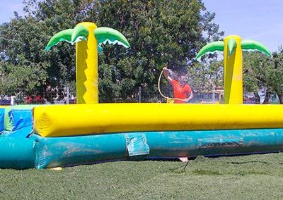 Palm Inflatable Water Slider