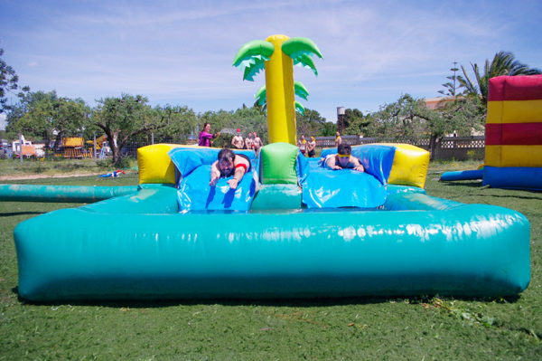 Palm Inflatable Water Slider