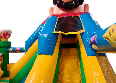 Super Mario Bros Inflatable Combo