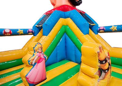 Super Mario Bros Inflatable Combo