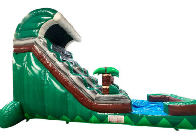 Palm Waters Slide