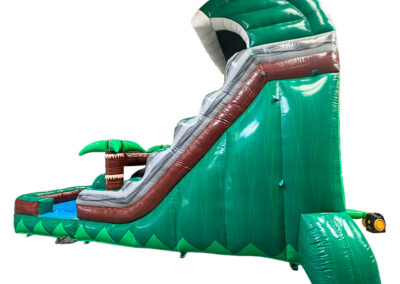 Palm Waters Slide