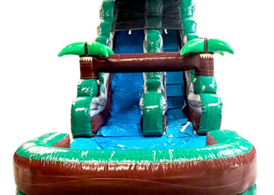 Palm Waters Slide