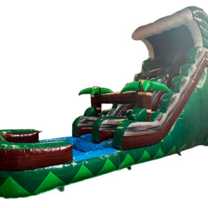 Palm Waters Slide