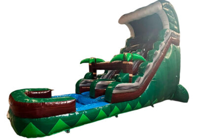 Palm Waters Slide