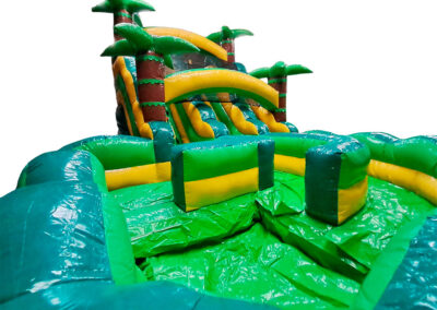 Palm Waters Slide Two