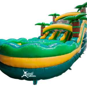 Palm Waters Slide Two