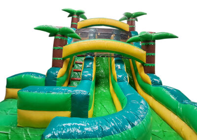 Palm Waters Slide Two