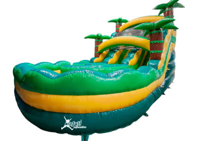 Palm Waters Slide Two