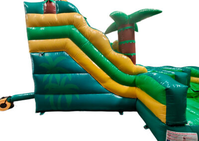 Palm Waters Slide Two