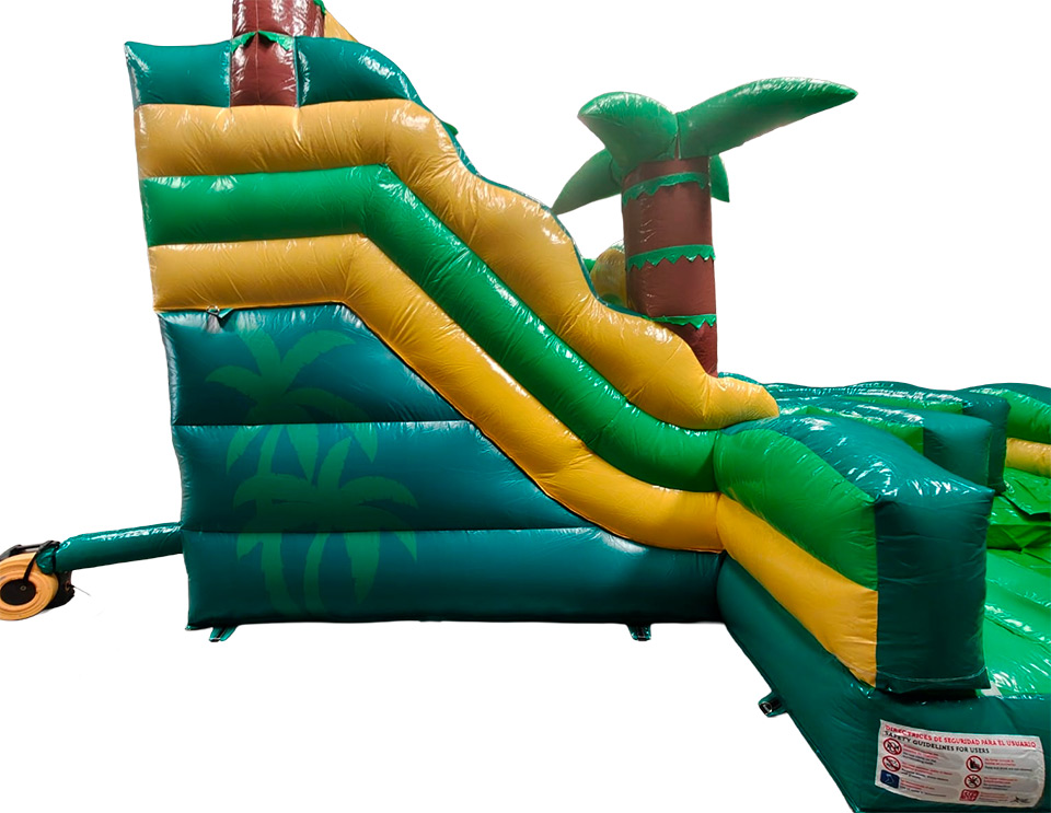 Palm Waters Slide Two